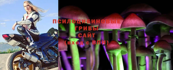 PSILOCYBIN Аркадак