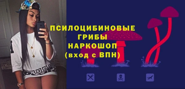 PSILOCYBIN Аркадак