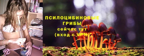 PSILOCYBIN Аркадак
