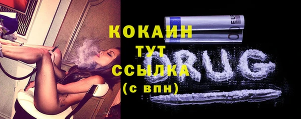 PSILOCYBIN Аркадак