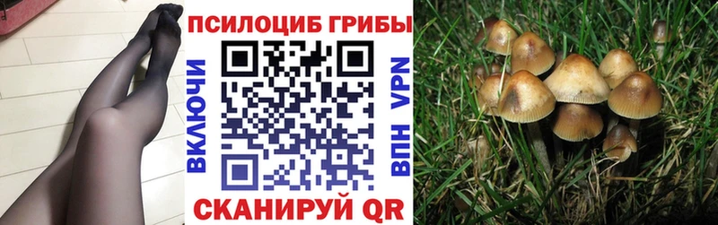 Галлюциногенные грибы мицелий  Купить  Беслан 
